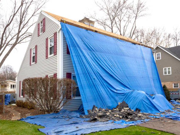 Best Stucco Siding  in Marsing, ID